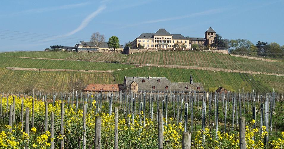  schloss johannisberg 1