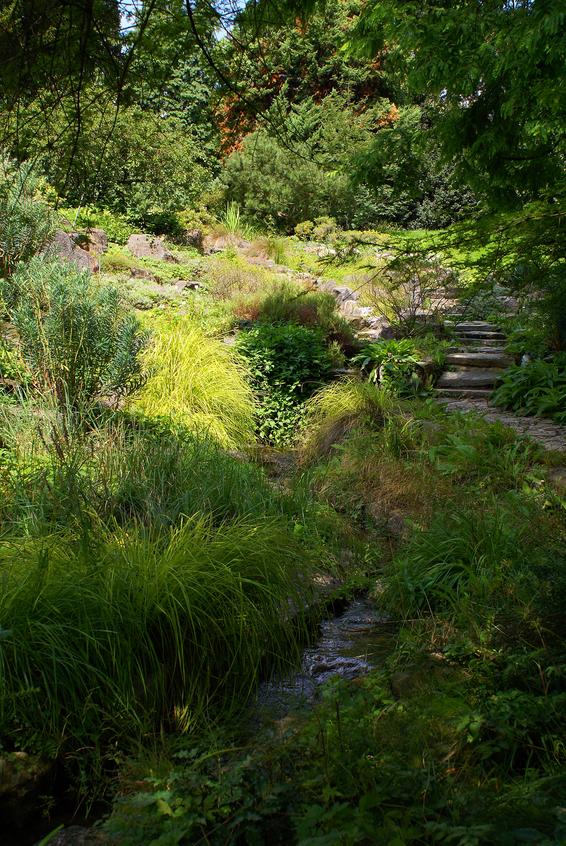 Idyllischer Bachlauf im Steingarten