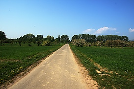 Radweg von Ingelheim nach Bingen