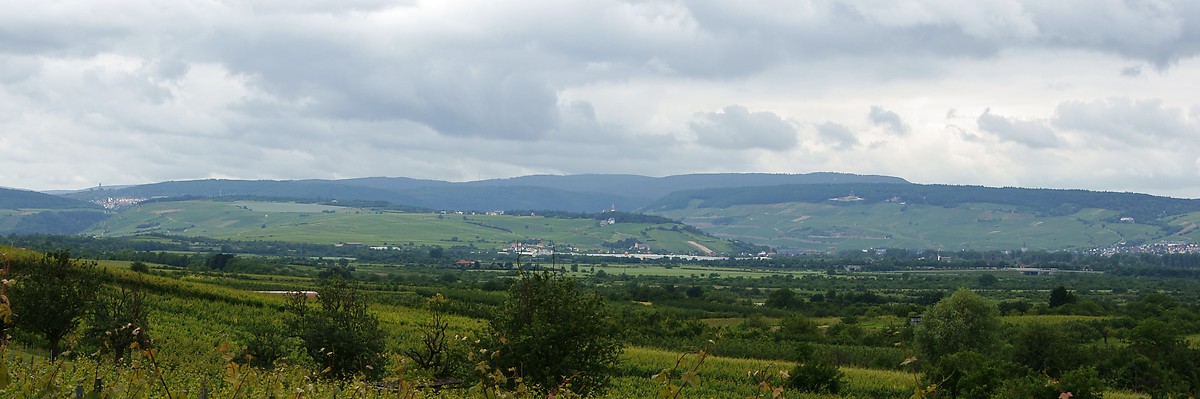 Binger Hinterland und R?desheim