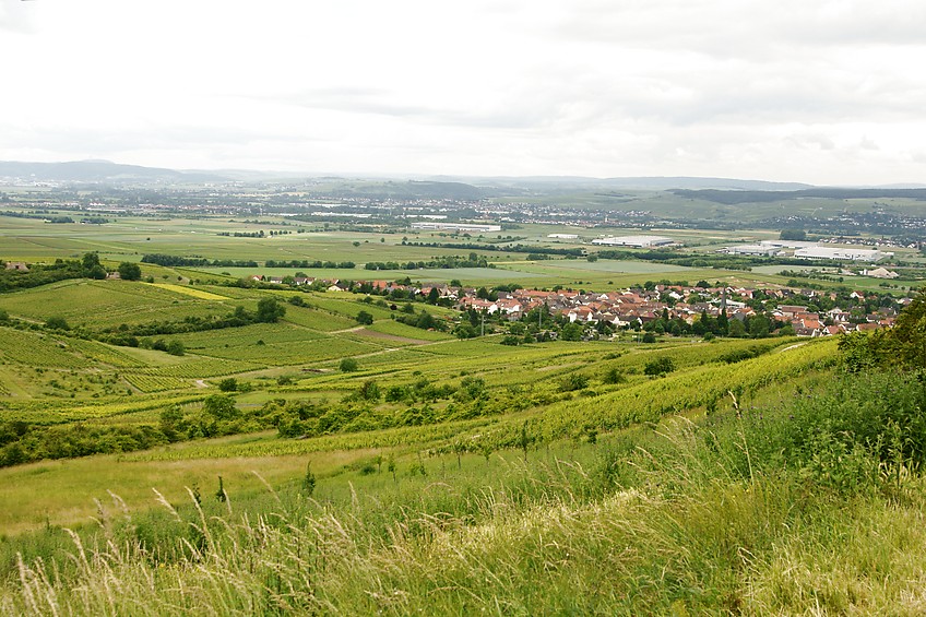 Blick auf Dromersheim und das Nahetal