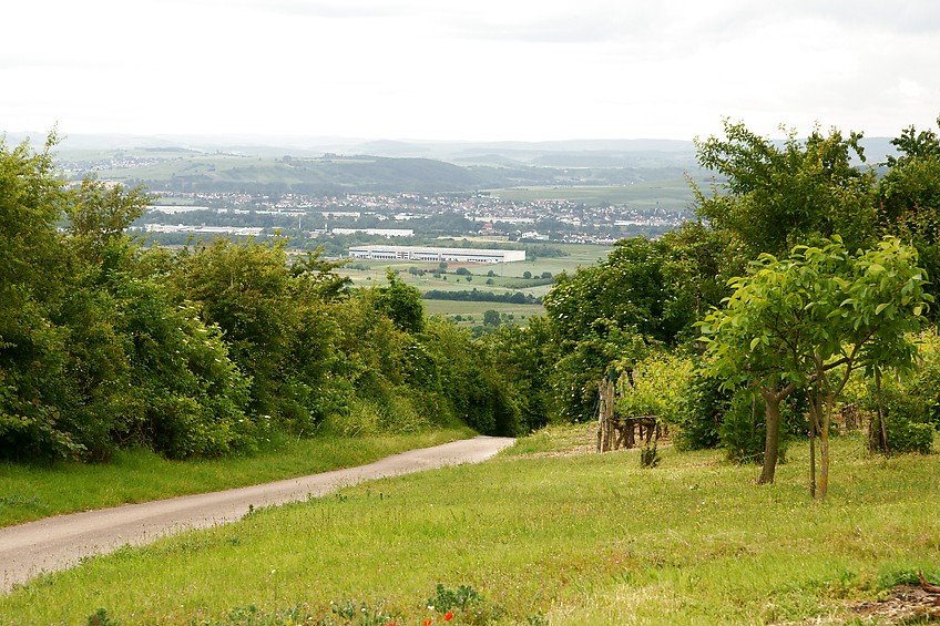 Weg von Laurenziberg in das Nahetal