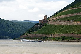 Ruine Ehrenfels von Bingen