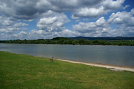 Rheinufer bei Heidenfahrt