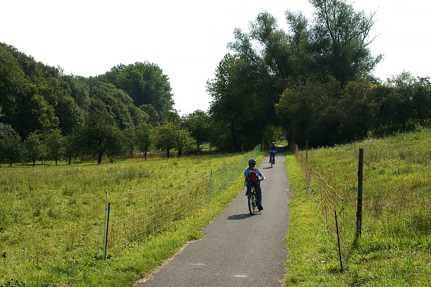 Auf dem Radweg