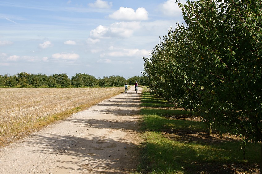 Von Finthen nach Heidesheim