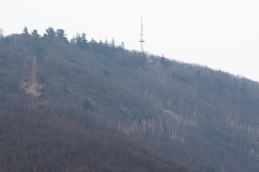 Teufelskadrich vom Bodental