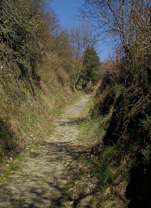 Aufstieg zur Ruine Nollig