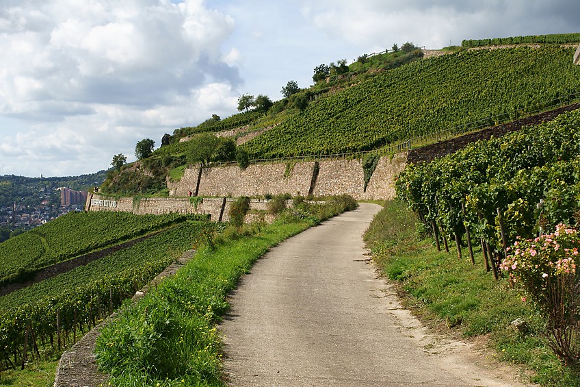 Blick auf Rottland und Ramstein