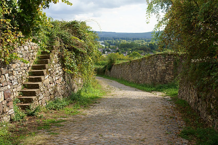 Kuhweg hinab nach R?desheim.jpg