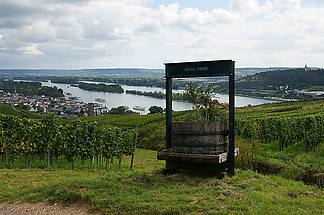 Alte Kelter im Weinberg