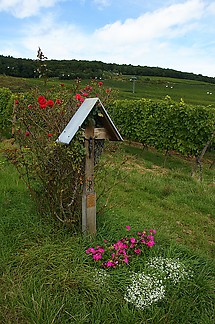 Kruzifix in den Weinbergen