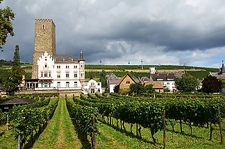 Die Oberburg von der Rheinstra?e