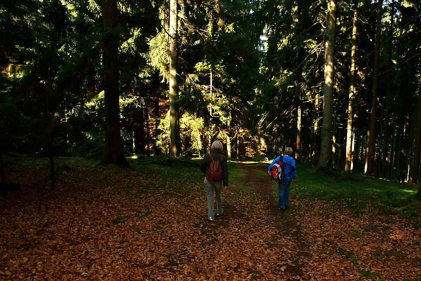 Von der Hohen Wurzel ins Tal