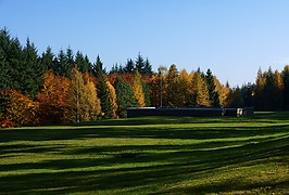 HerbstwaldAufBrunnenwiese.jpg