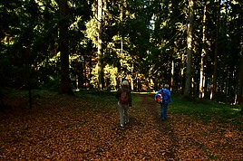 Von der Hohen Wurzel ins Tal