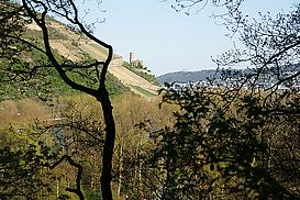 Blick auf Ruine Ehrenfels