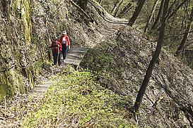 Hangweg mit Steg