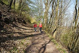 Waldweg hinter Schweizerhaus