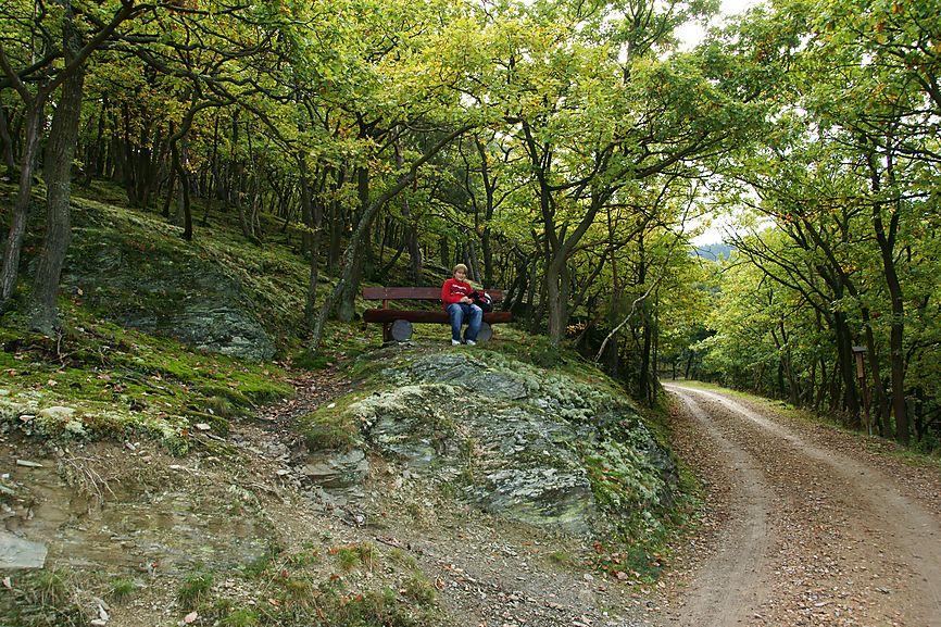 Wegschleife