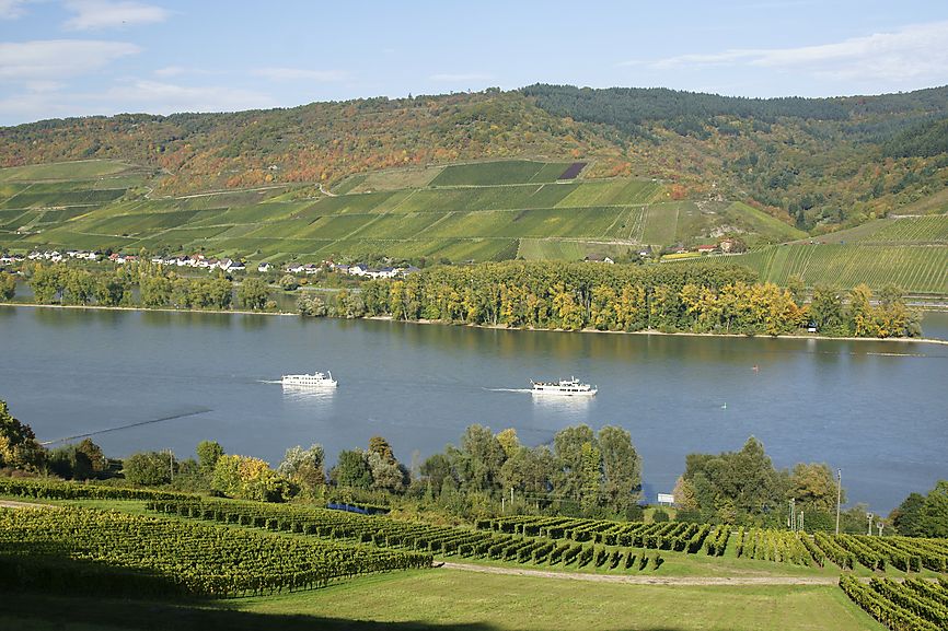 Rhein mit Schiffen bei Nieder-Heimbach